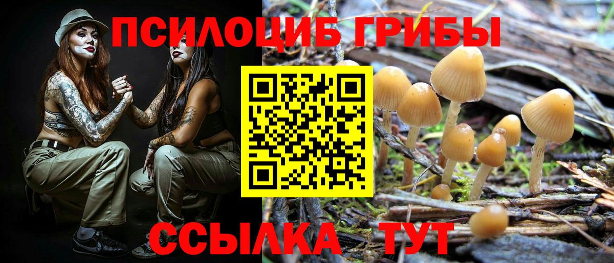 Галлюциногенные грибы прущие грибы Самара