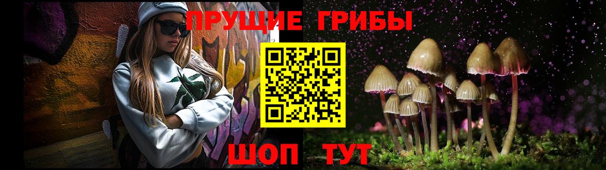 Псилоцибиновые грибы Cubensis  Вход с VPN  Псилоцибиновые грибы ЛСД  Самара 